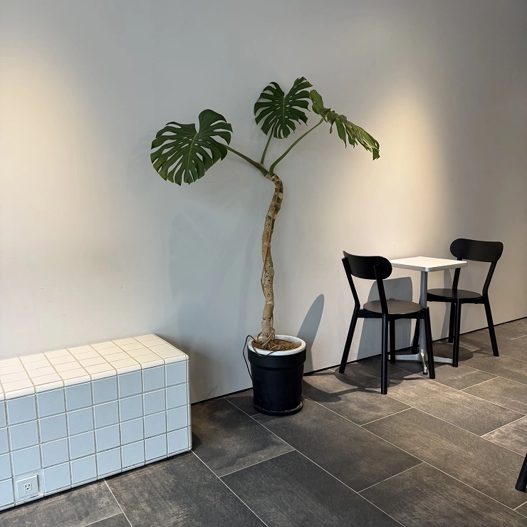 플렌테리어 활용