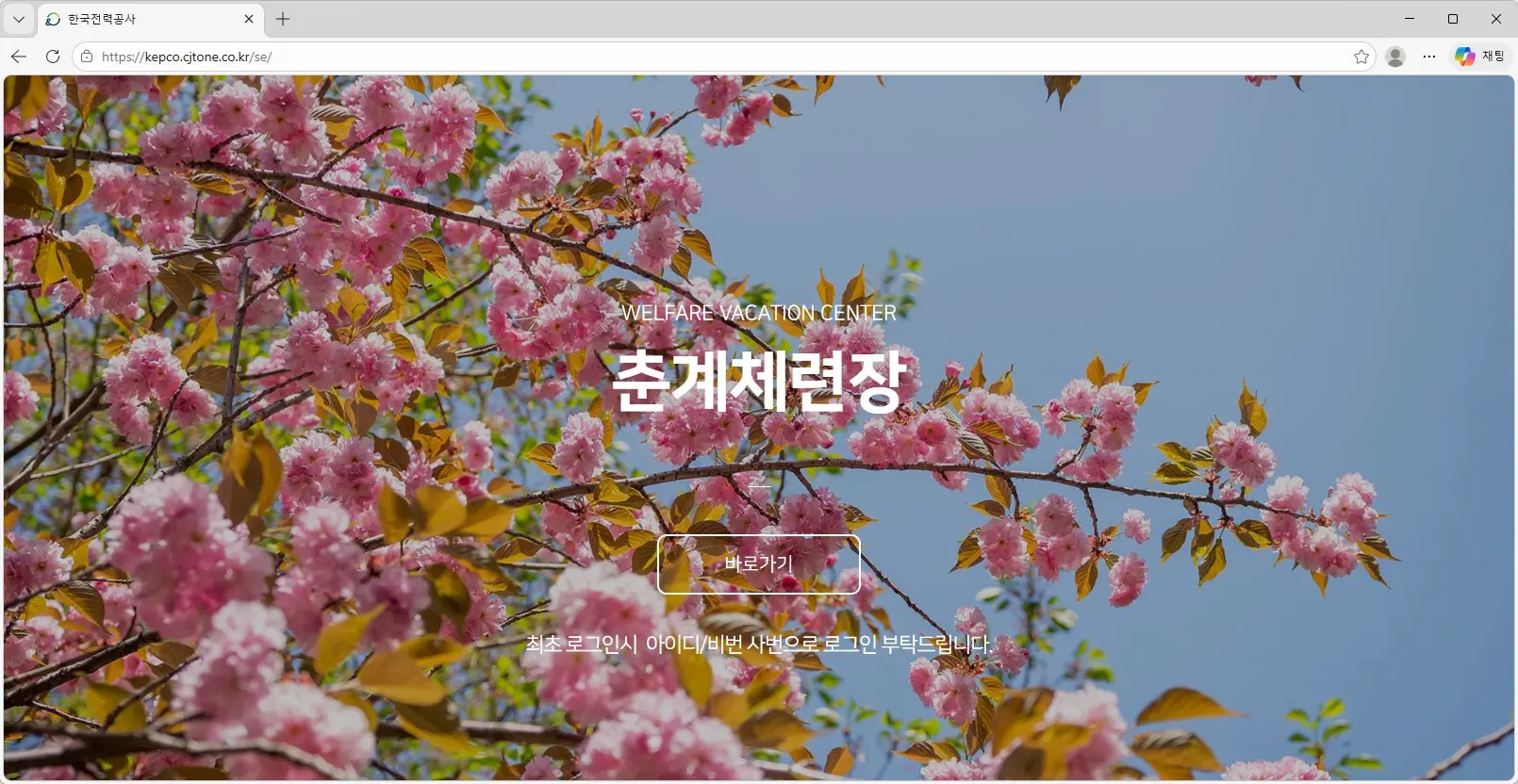 한국전력공사-춘계체력장