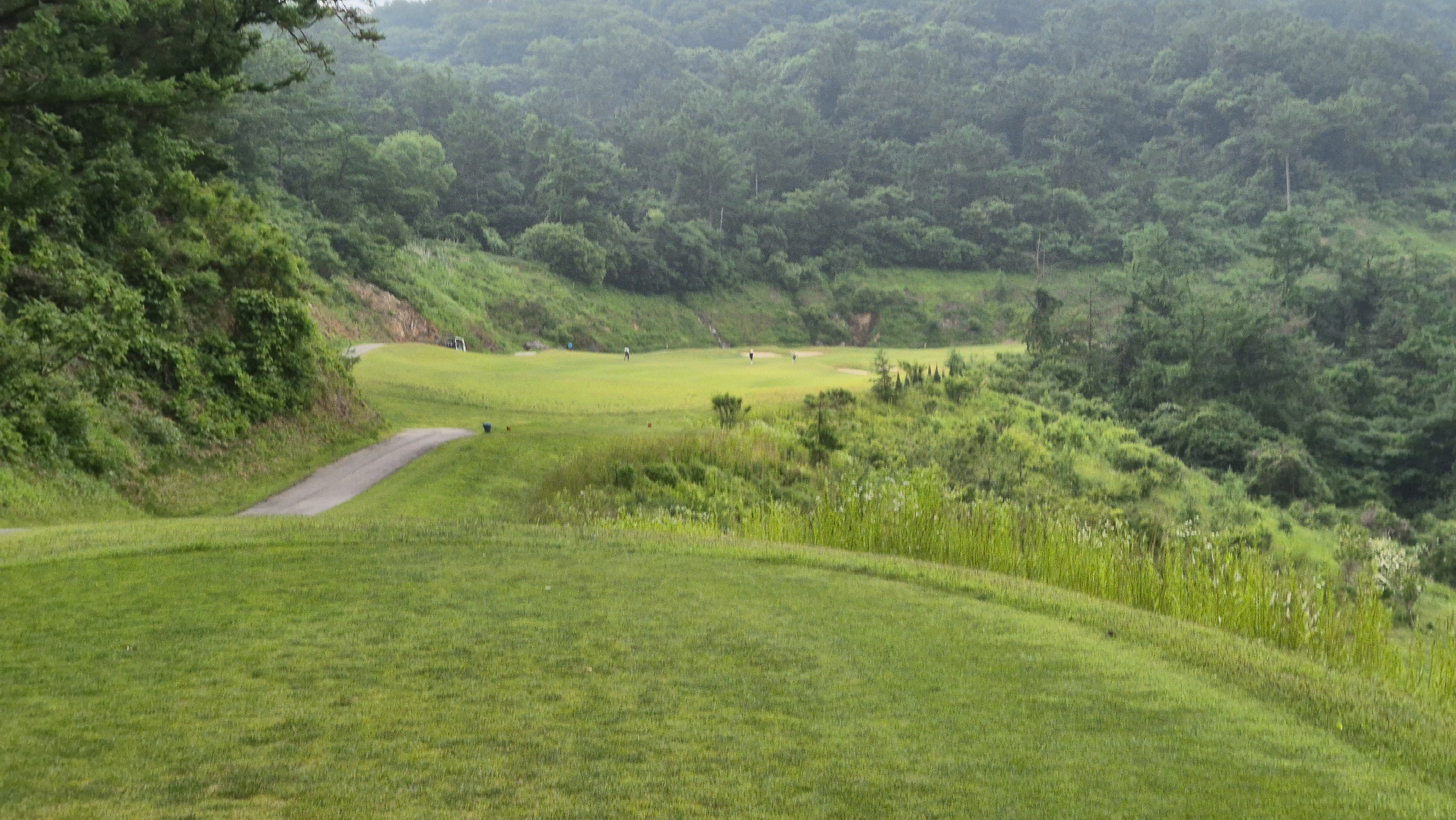 샴발라cc 라운드 후기