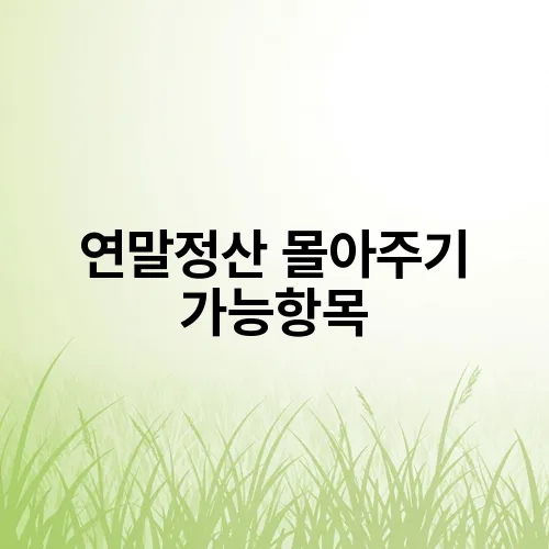 연말정산 몰아주기 가능항목