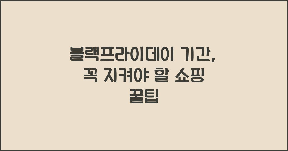 블랙프라이데이 기간