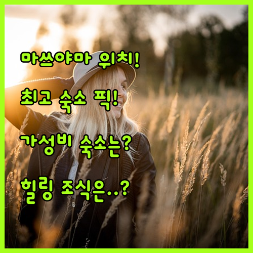 마쓰야마 여행 완벽 힐링을 위한 최고..