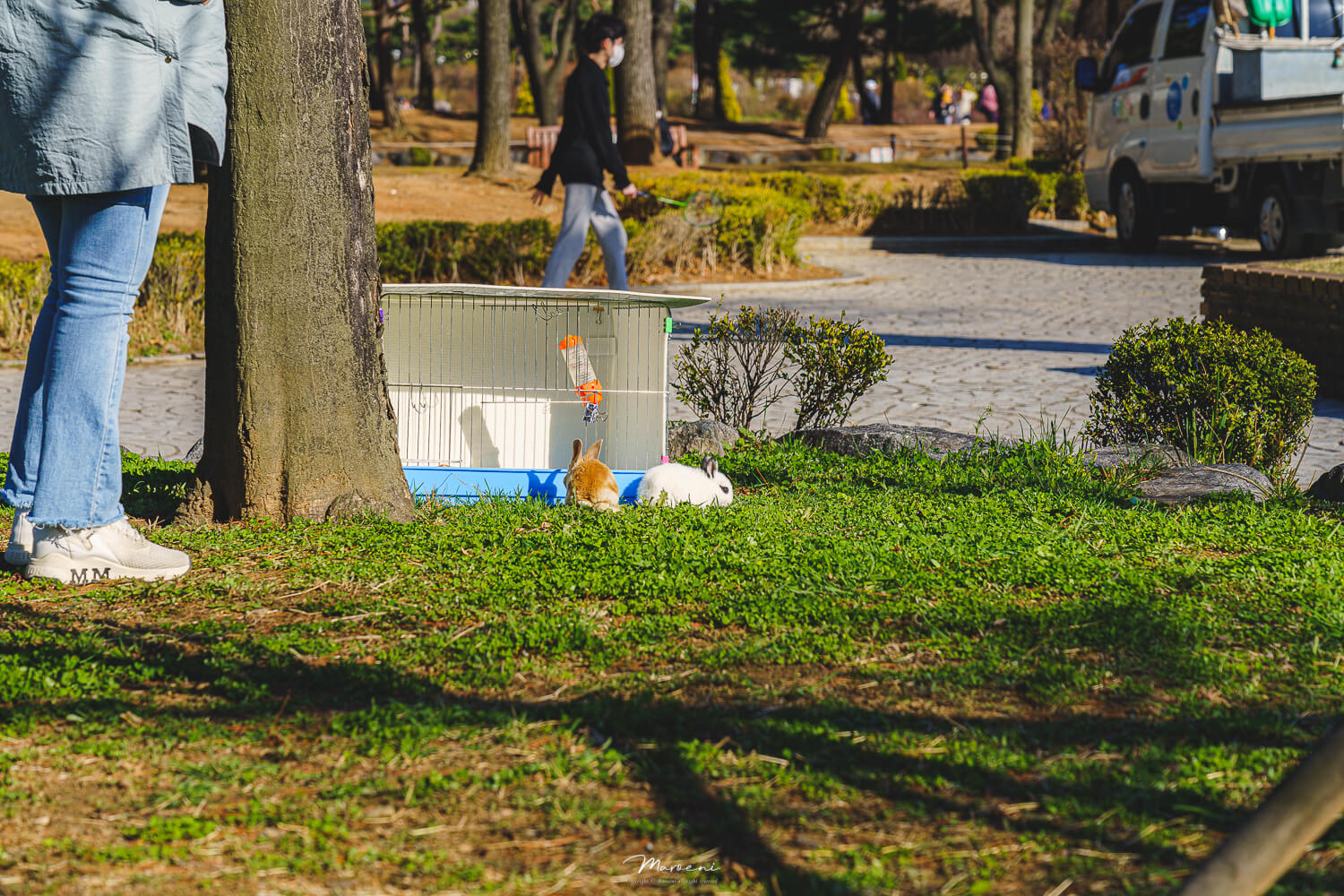 중앙공원 애견운동장