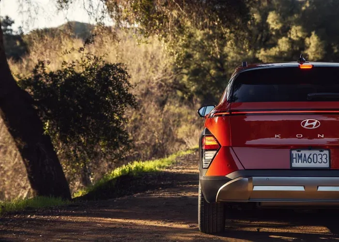 코나 하이브리드 이미지