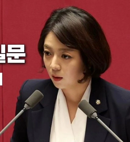 배현진 국회의원 돌 둔기 피습 상황