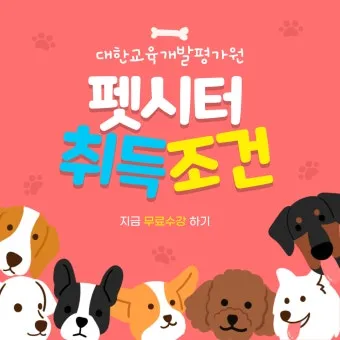 펫시터자격 교육과정 활동영역 창업준비 시니어 돌봄 일거리 찾기_3