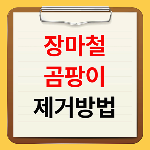 장마철 곰팡이 제거방법