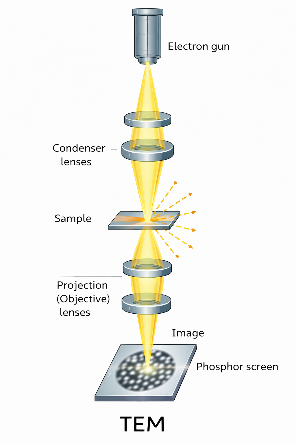 TEM 단면 모식도 이미지