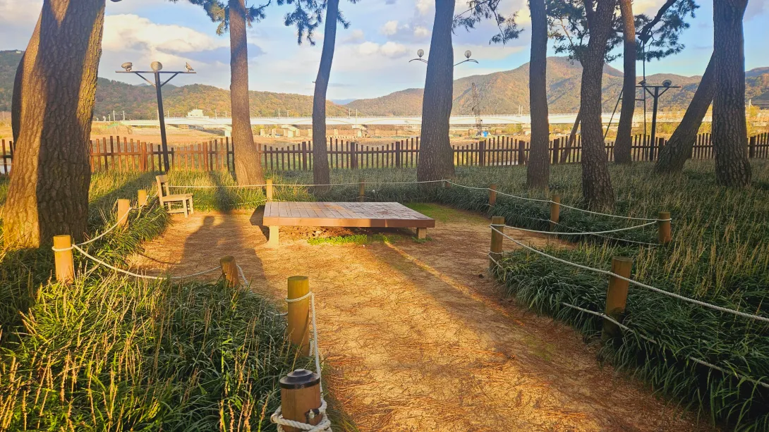 밀양 맥문동 맨발걷기