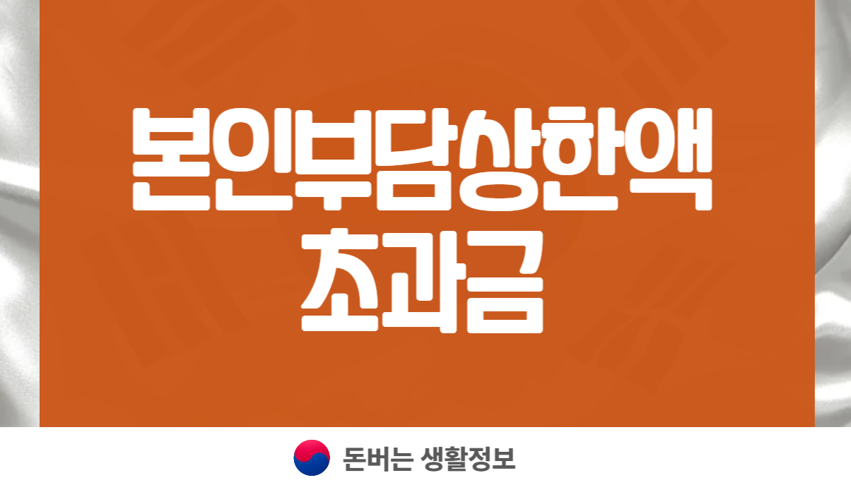 본인부담상한액 초과금