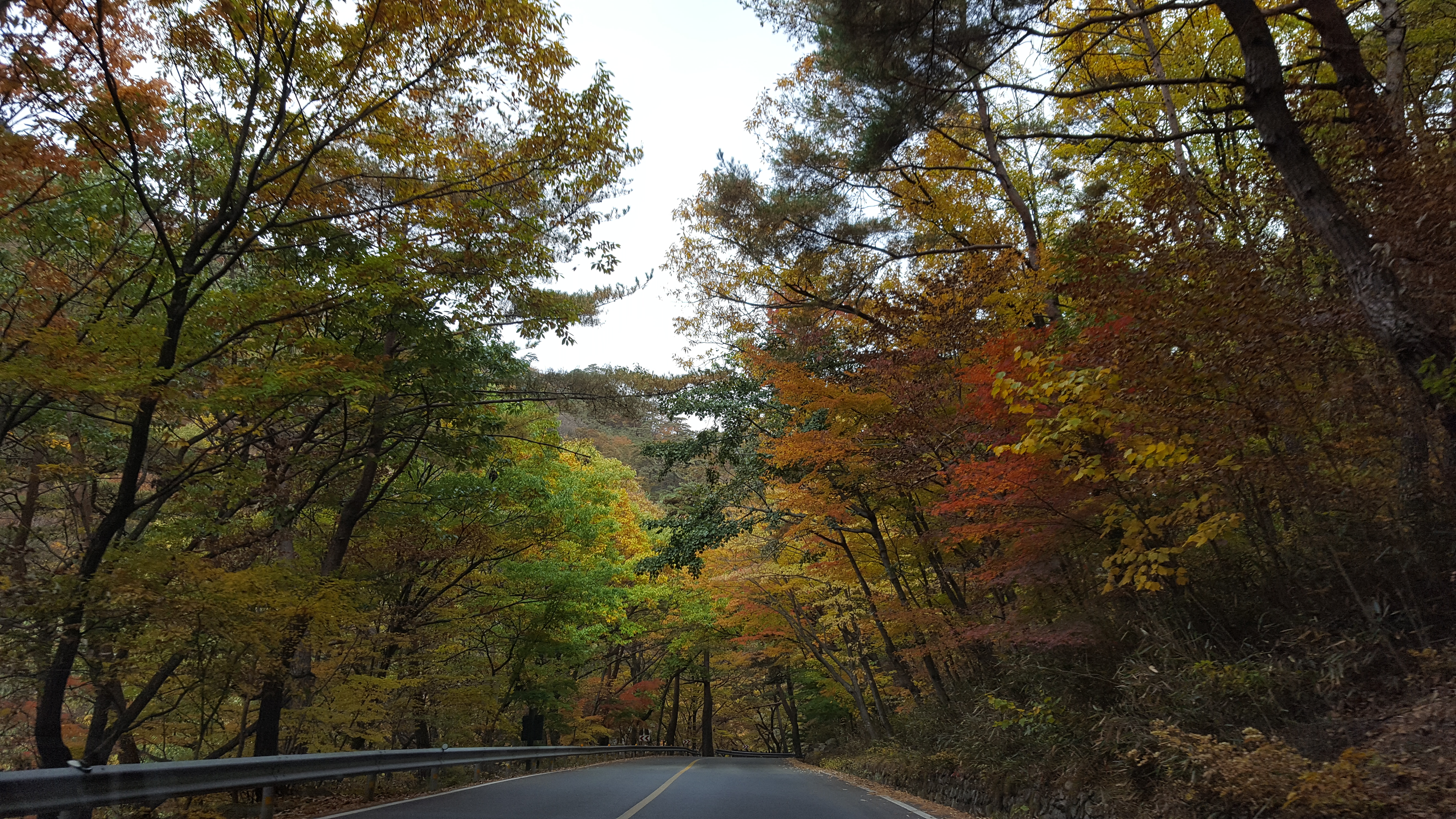 합천 달의정원