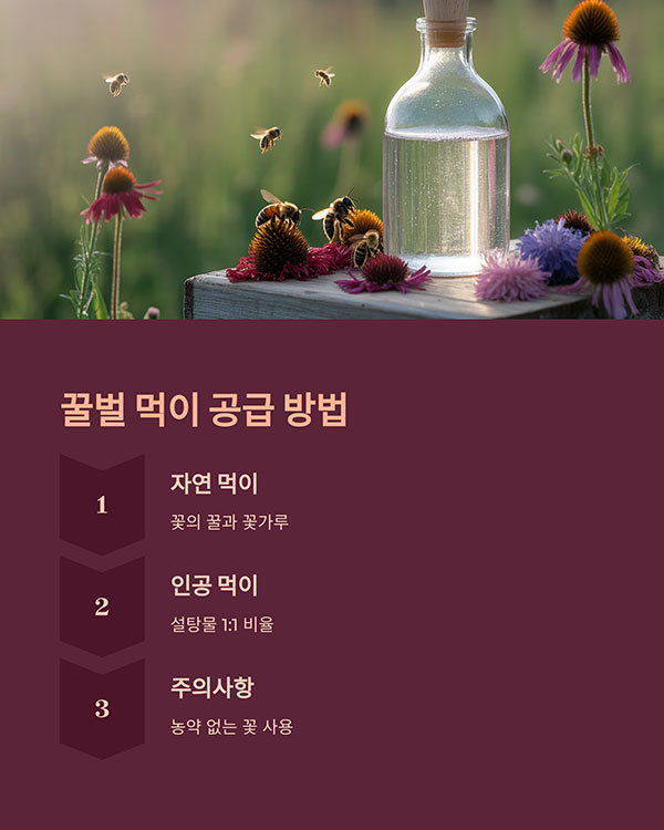 꿀벌의 먹이, 직접 챙겨줘야 할까?