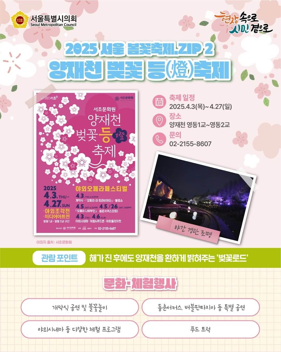 양재천 벚꽃 등축제