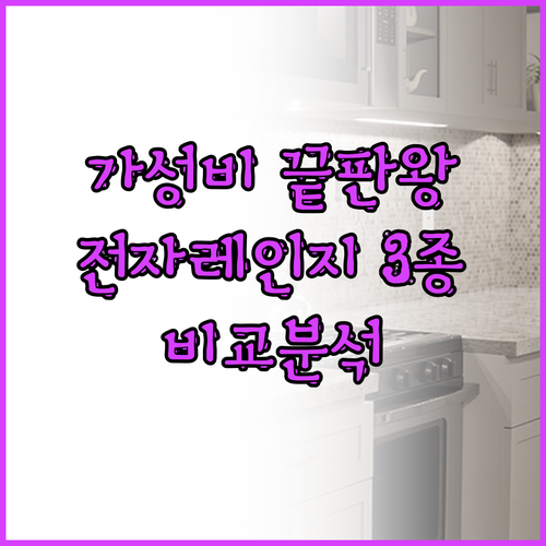 가성비 전자레인지 추천 3종! 홈플래..