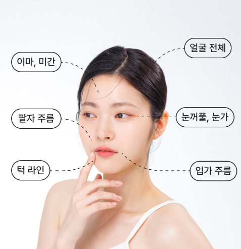 세르프시술