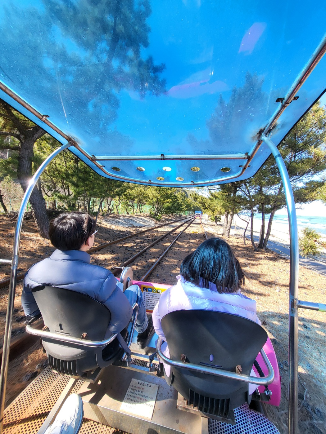 정동진 레일바이크 내돈내산 꿀팁: 모든 타임 매진 주의! 예약 방법과 입장료 정보 총정리