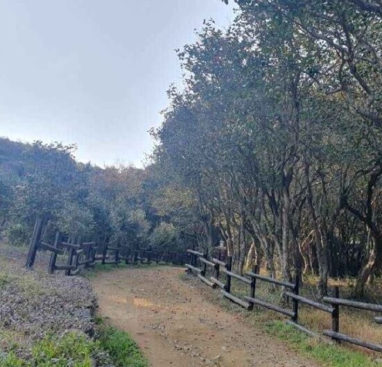 광양 가볼만한곳 베스트 10