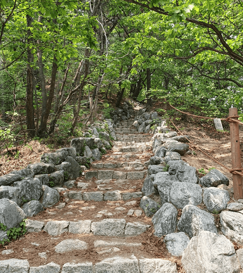 보국문04
