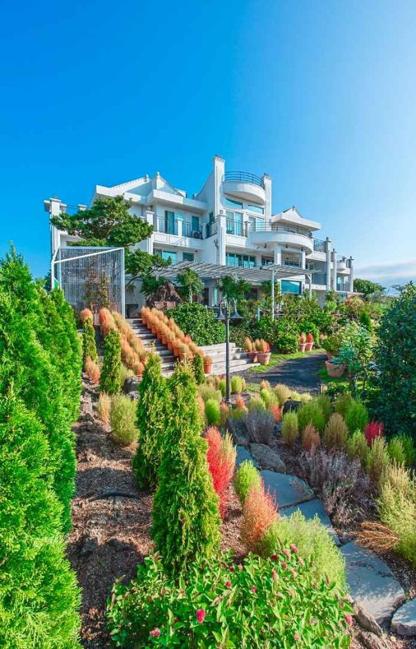 10월 지역축제 제주 가을 축제 핑크뮬리