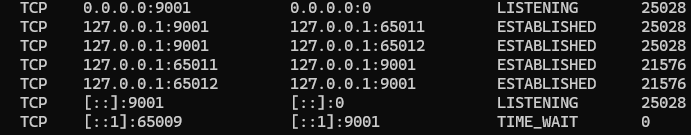 cmd netstat 확인