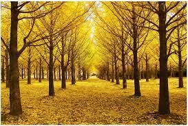 [파란형-Tipoazul] 10월 여행 추천 꿀팁 /당일치기 여행 /매년 찾아가는 곳/당일치기/ 여행으로 떠나는10월 가을여행지 추천 BEST / 10월 여행하기 좋은 곳 장소