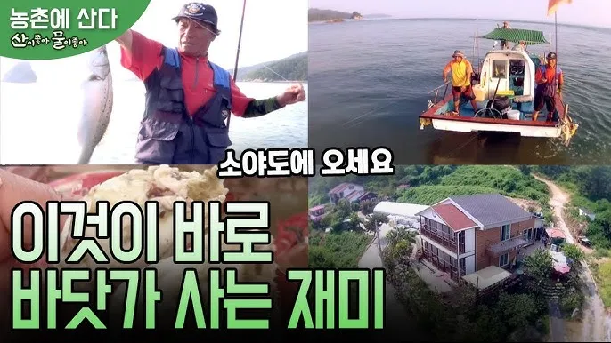 소야도 물때표 여행 낚시 해루질 배편_2