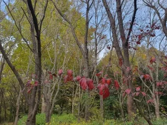 친목모임 인사말 이렇게 해보세요 유쾌하고 따뜻한 문장 예시 모음으로_26