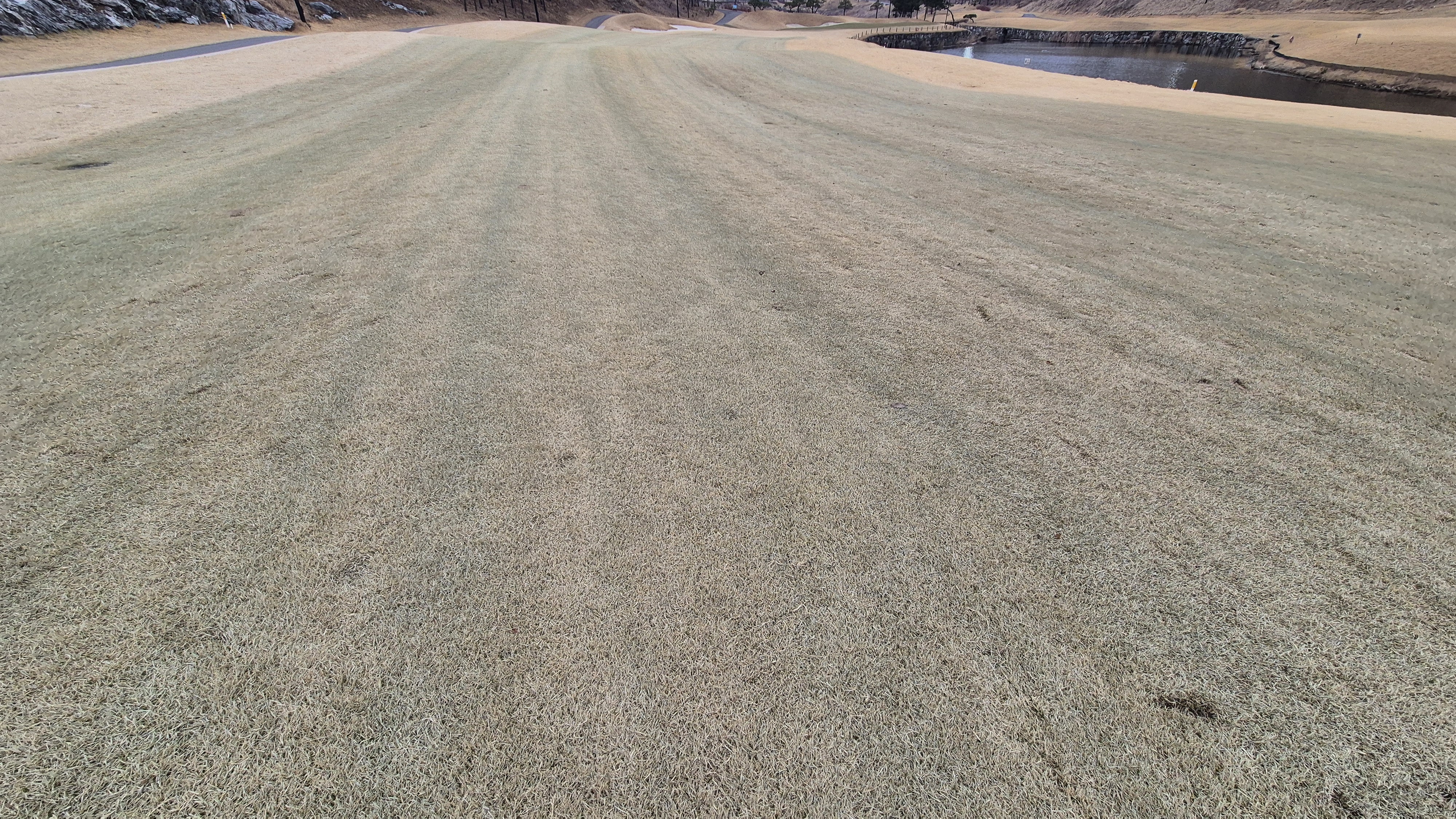 세현cc 코스 관리 상태