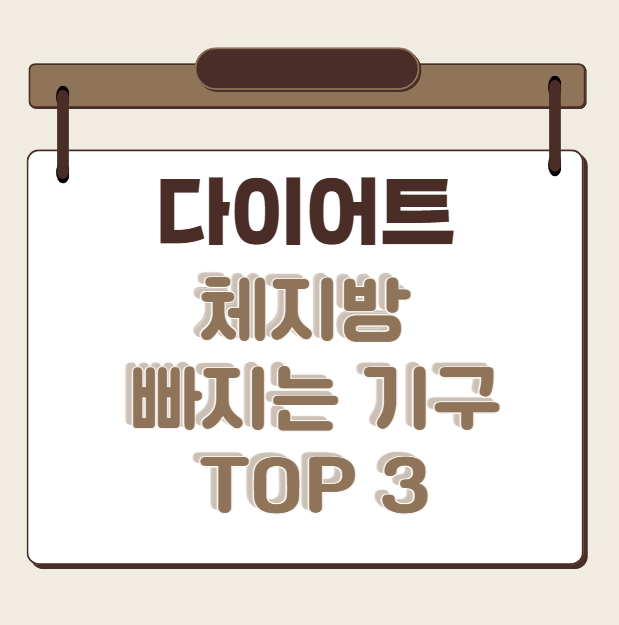 다이어트체지방빼는기구 top3