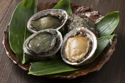Abalone