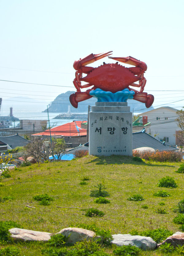 극한직업 진도 꽃게 택배 주문하기