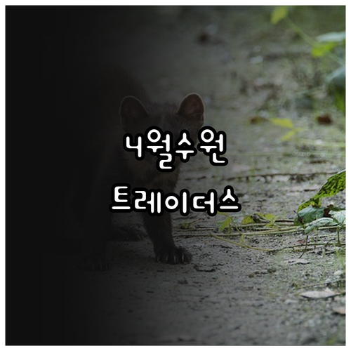 2026년 4월 수원 트레이더스 홀세..