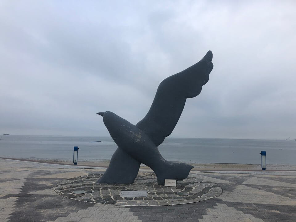 대천 짚라인 가격