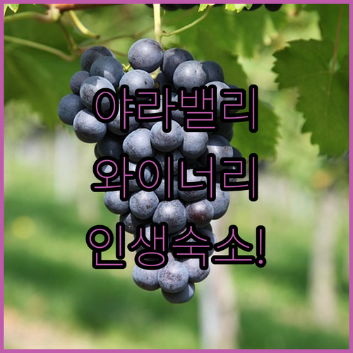 야라 밸리 와이너리 숙소 추천 3곳 ..