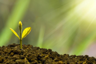 근로장려금 자동신청