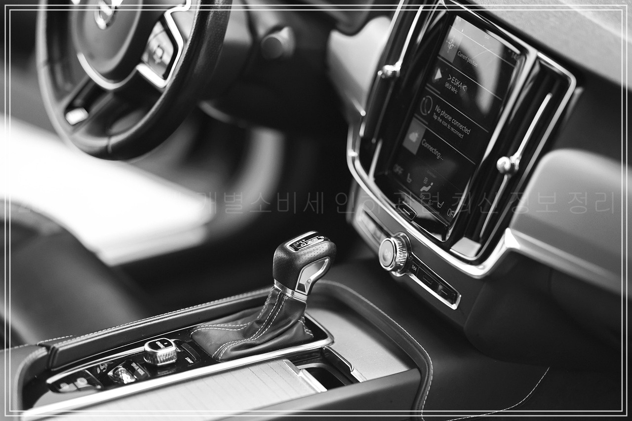 2025년 개별소비세 인하 적용 품목, 자동차 적용 대상 품목 총정리