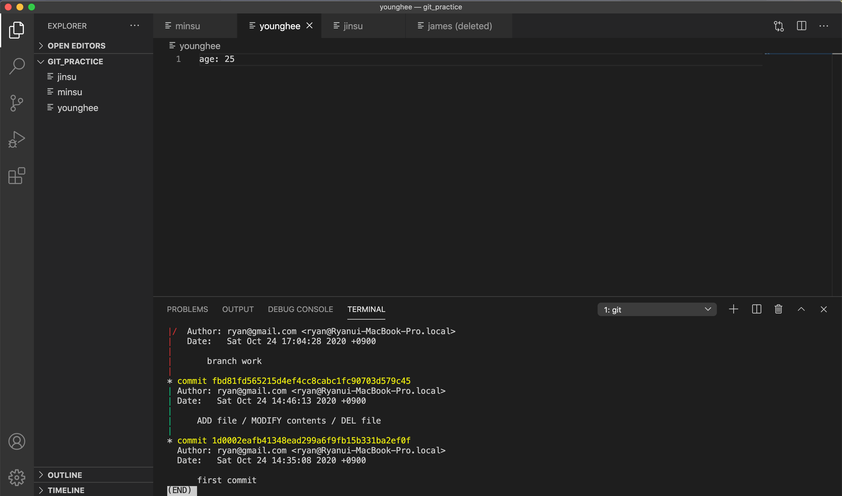 git log