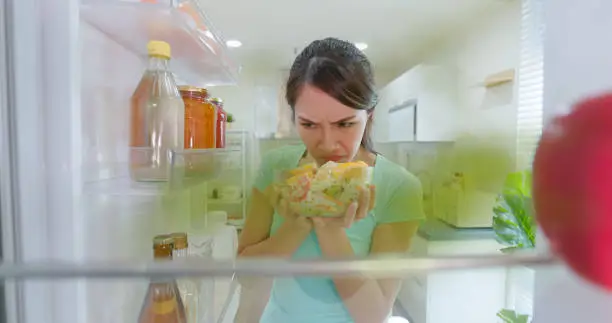 냉장고 온도 적정온도