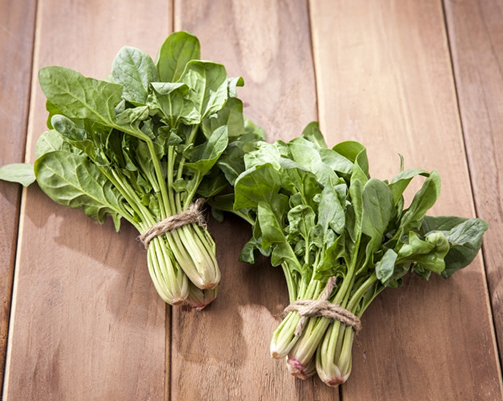 8월에 심는 작물 종류 여름 텃밭 주말농장 씨앗 모종 키우기 추천 TOP 10 2