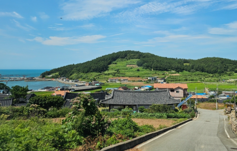 완도 청산도