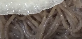 생활의 달인 황해도식 메밀냉면