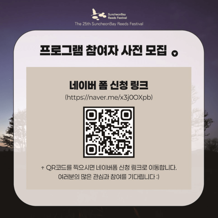 순천만 백패커의 밤