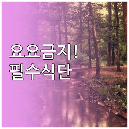 요요 현상 예방하는 건강한 감량 목표..