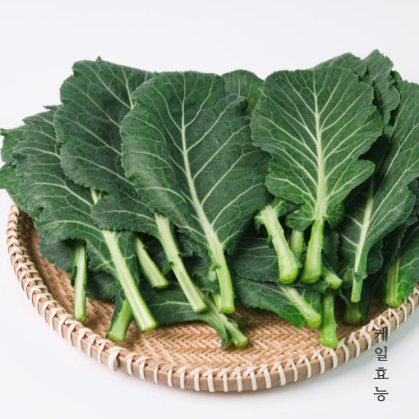 케일 효능 : 케일 효능 알고 드세요!