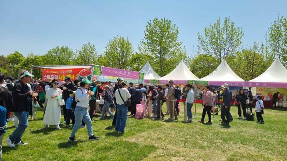 함안세계수박축제