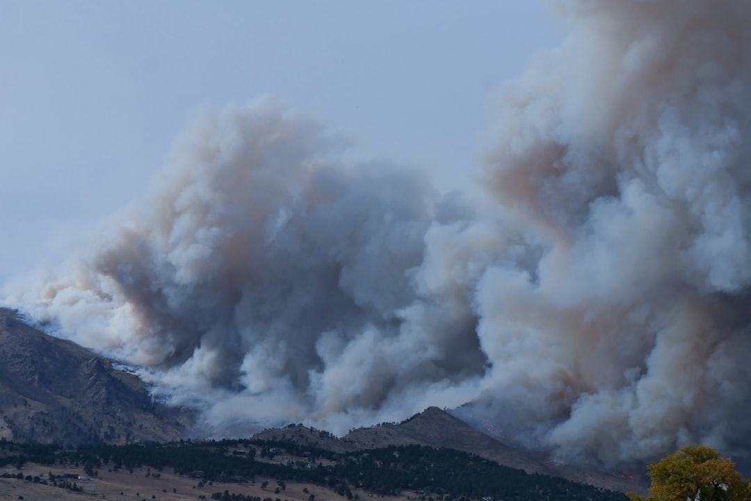 Wildfire