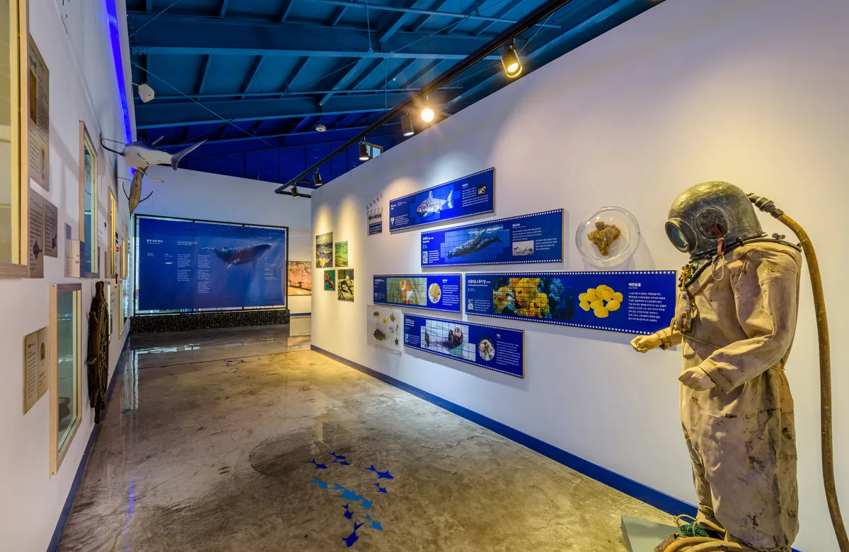 제주도-서쪽-여행-아이들과-가볼만한-곳-제주해양동물박물관-전시