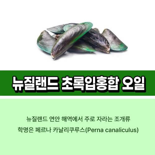 뉴질랜드 초록입홍합