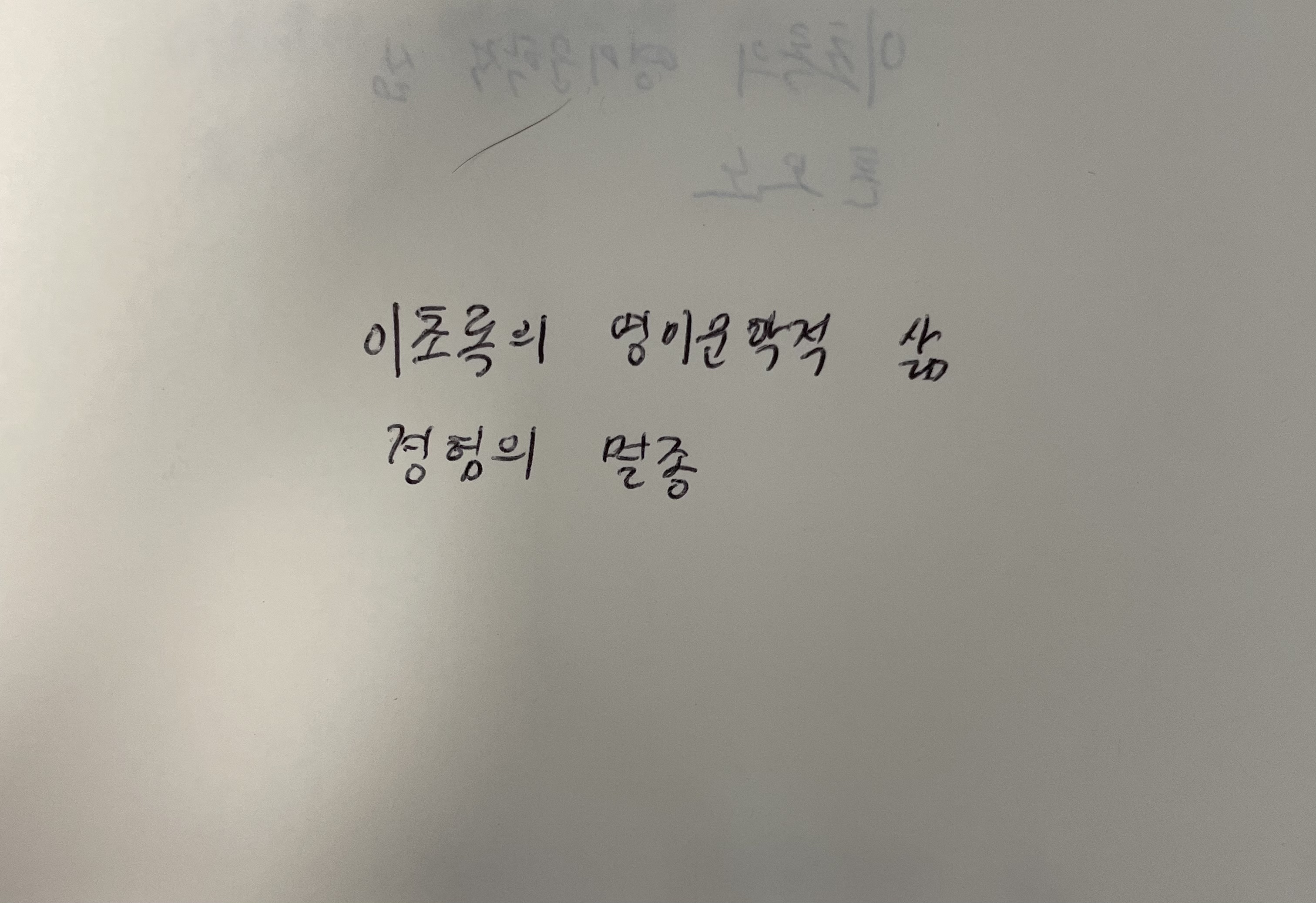 이초록의 영미문학적 삶- 경험의 멸종 크리스틴 로젠 손글씨