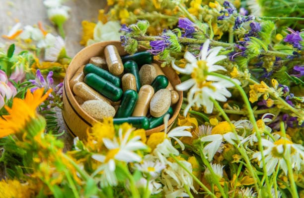 전통 약초를 활용한 현대 건강 보조제 트렌드